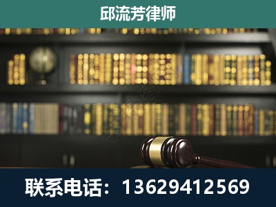 武定-经济类案件